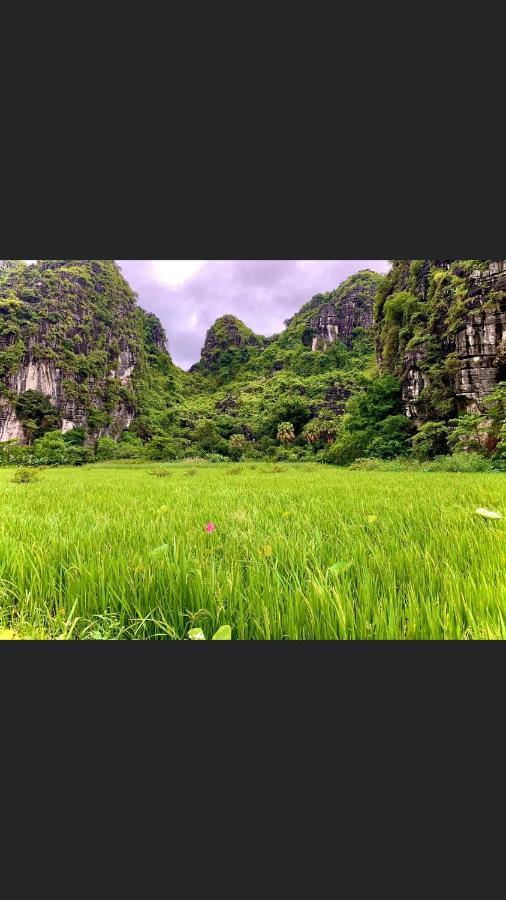 Tam Coc Scenery Homestay Van Lam エクステリア 写真
